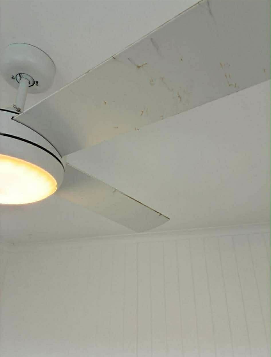 Ceiling Fan Detail Clean before photo